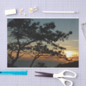Torrey Pine Sunset I California Landscape Tissuepapier (Craft)