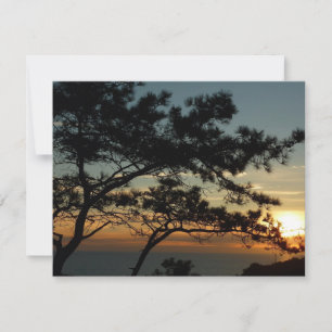 Torrey Pine Sunset I Californië Landschap