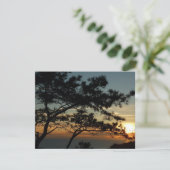 Torrey Pine Sunset I Californië Landschap (Staand voorkant)