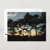 Torrey Pine Sunset II Californië Landschap Briefkaart (Voorkant / Achterkant)