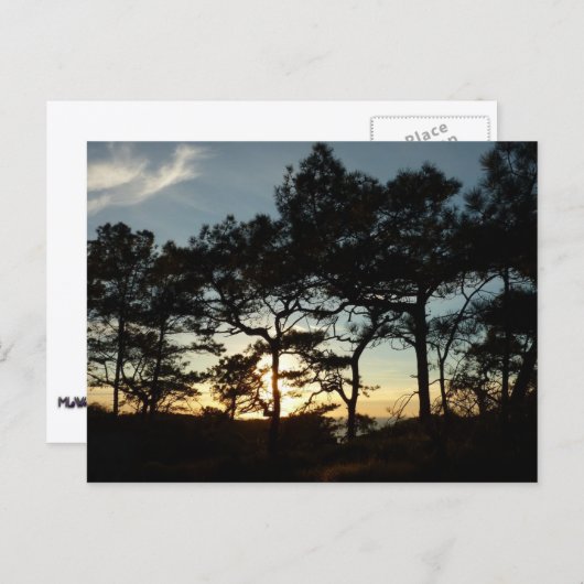 Torrey Pine Sunset II Californië Landschap Briefkaart (Voorkant / Achterkant)