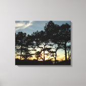 Torrey Pine Sunset II Californië Landschap Canvas Afdruk (Voorkant)