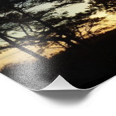 Torrey Pine Sunset II Californië Landschap Foto Afdruk (Hoek)