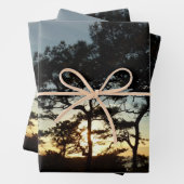 Torrey Pine Sunset II Californië Landschap Inpakpapier Vel (In situ)