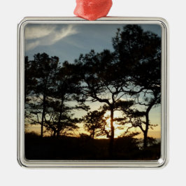 Torrey Pine Sunset II Californië Landschap Metalen Ornament