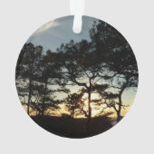 Torrey Pine Sunset II Californië Landschap Ornament (achterkant)