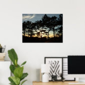 Torrey Pine Sunset II Californië Landschap Poster (Thuiskantoor)