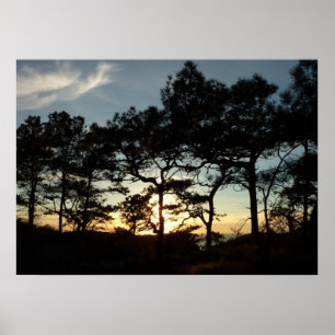 Torrey Pine Sunset II Californië Landschap Poster