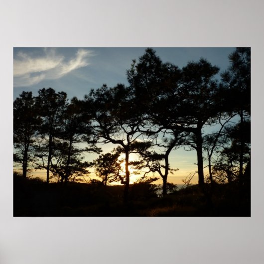 Torrey Pine Sunset II Californië Landschap Poster (Voorkant)