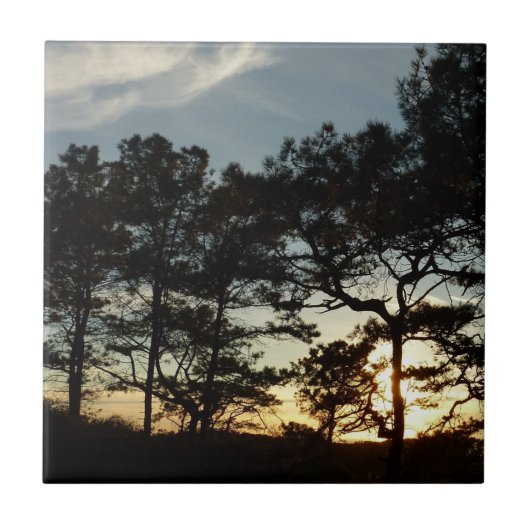 Torrey Pine Sunset II Californië Landschap Tegeltje (Voorkant)