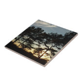 Torrey Pine Sunset II Californië Landschap Tegeltje (Zijkant)