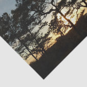 Torrey Pine Sunset II Californië Landschap Tissuepapier (Detail)