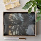 Torrey Pine Sunset II Californië Landschap Tissuepapier (Geschenk)