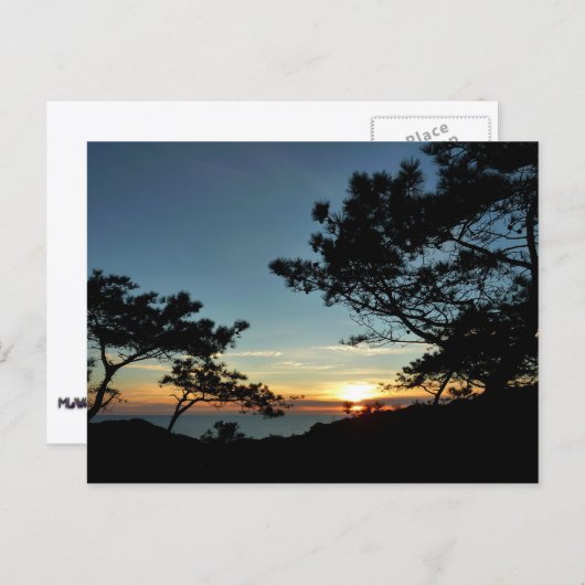 Torrey Pine Sunset III Californië Landschap Briefkaart (Voorkant / Achterkant)