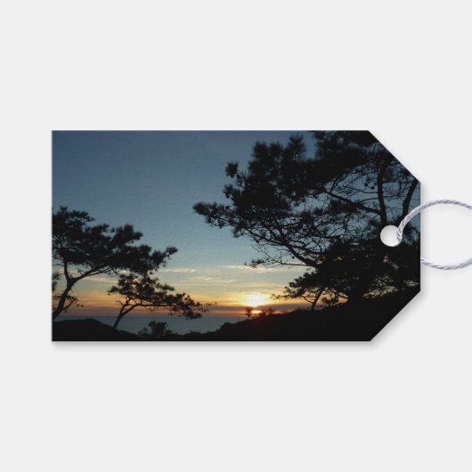 Torrey Pine Sunset III Californië Landschap Cadeaulabel (Voorkant (Horizontaal))