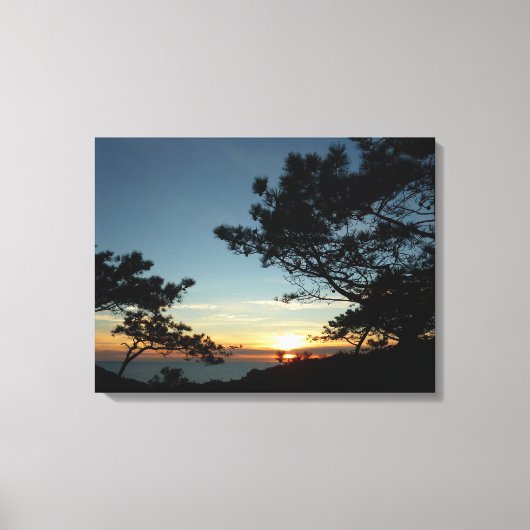 Torrey Pine Sunset III Californië Landschap Canvas Afdruk (Voorkant)