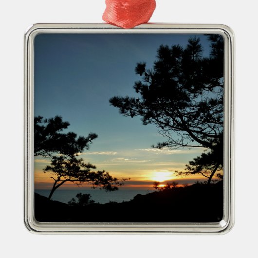 Torrey Pine Sunset III Californië Landschap Metalen Ornament (Voorkant)