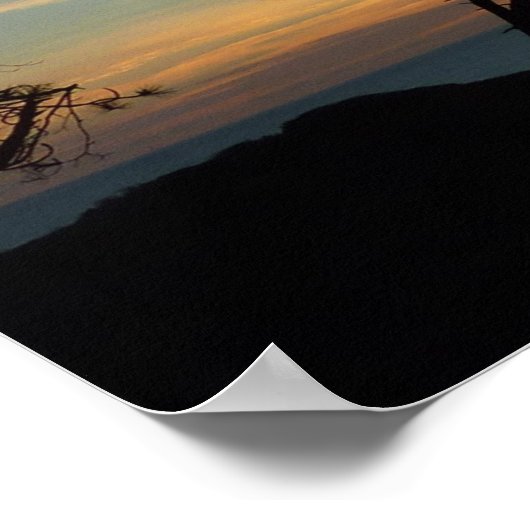 Torrey Pine Sunset III Californië Landschap Poster (Hoek)