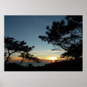 Torrey Pine Sunset III Californië Landschap Poster (Voorkant)
