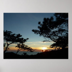 Torrey Pine Sunset III Californië Landschap Poster