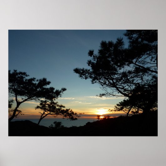Torrey Pine Sunset III Californië Landschap Poster (Voorkant)