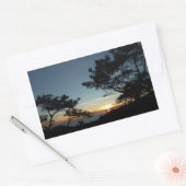 Torrey Pine Sunset III Californië Landschap Rechthoekige Sticker (Envelop)