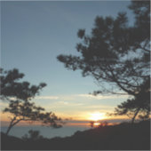 Torrey Pine Sunset III Californië Landschap Sticker (Voorkant)