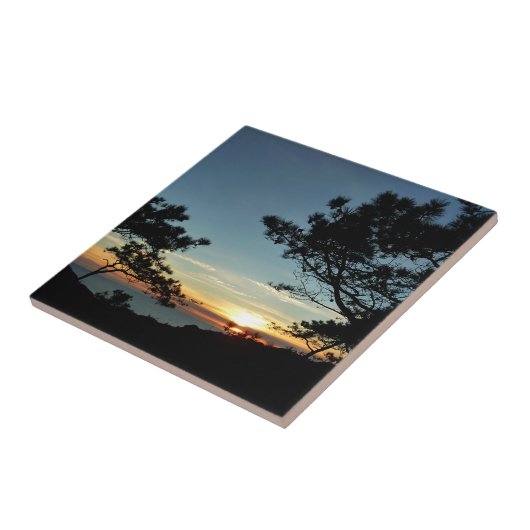 Torrey Pine Sunset III Californië Landschap Tegeltje (Zijkant)