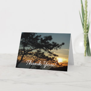 Torrey Pine Zonsondergang I Californië Landschap Bedankkaart