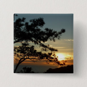 Torrey Pine Zonsondergang I Californië Landschap Vierkante Button 5,1 Cm