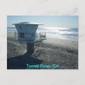 Torrey Pines, CA Briefkaart (Voorkant)
