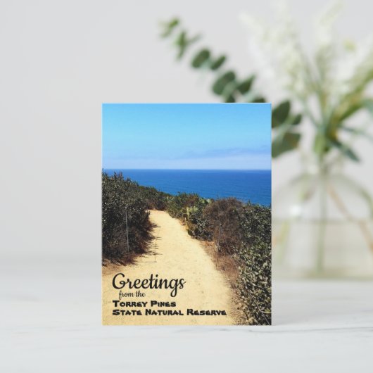 Torrey Pines Natural Reserve La Jolla California Briefkaart (Staand voorkant)