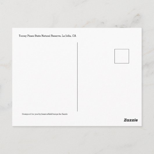 Torrey Pines Natural Reserve La Jolla California Briefkaart (Achterkant)