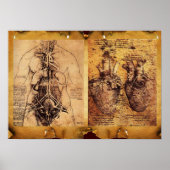 Torso/hart van de vrouw en haar bloedvaten poster (Voorkant)