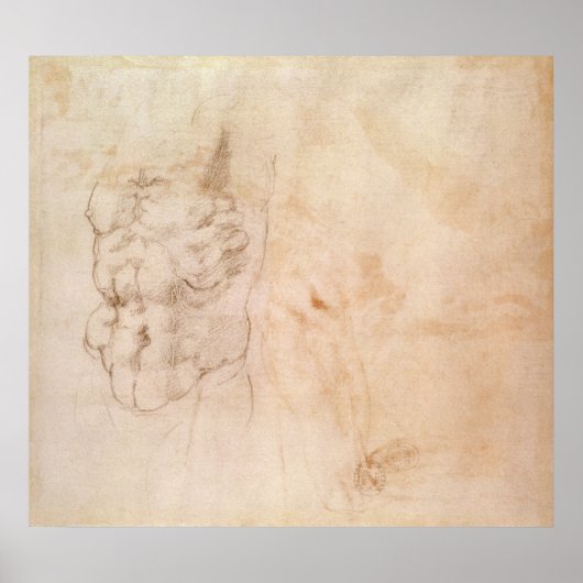 Torso Study Poster (Voorkant)