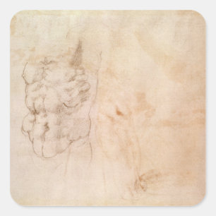 Torso Study Vierkante Sticker