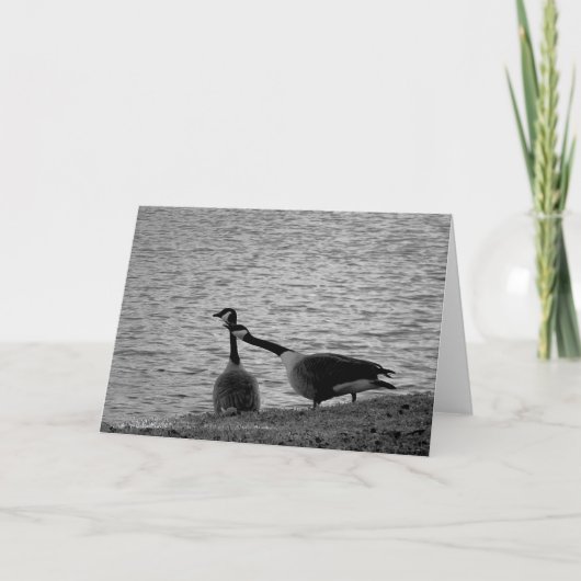 Tortelduifjes B&W Kaart (Voorkant)