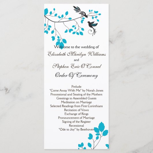 Tortelduifjes blauw programmakaart (Voorkant)