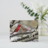 Tortelduifjes Briefkaart (Staand voorkant)