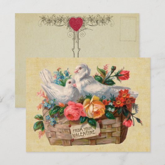 Tortelduifjes  Briefkaart (Voorkant / Achterkant)