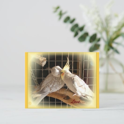 Tortelduifjes Briefkaart (Staand voorkant)