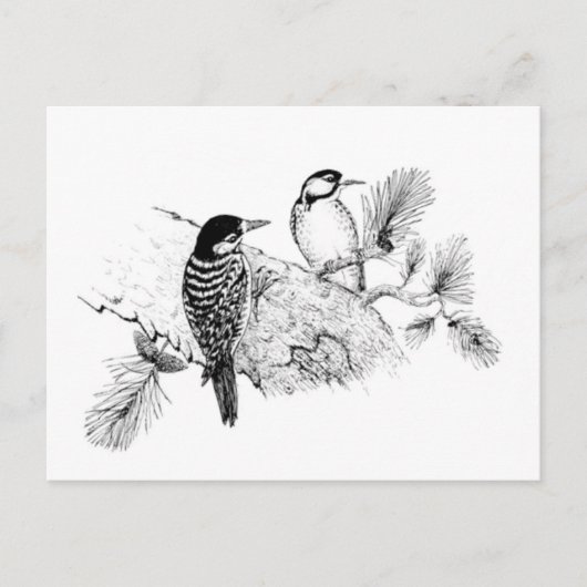 Tortelduifjes Bruiloft Bewaar de datum Uitnodiging Briefkaart (Voorkant)