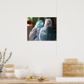 Tortelduifjes - foto van het poster van Pacifische (Keuken)