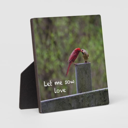 Tortelduifjes — fotoplaat (Voorkant)