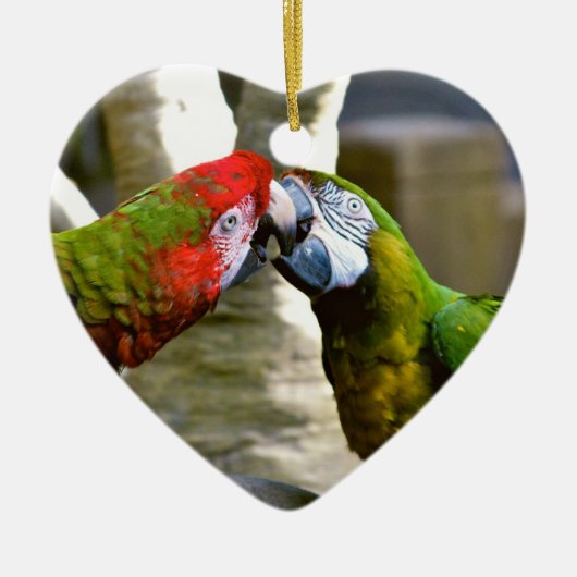 Tortelduifjes Kissing Macaw Parrots Ornament (Voorkant)