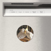 Tortelduifjes magneet (Insitu (Vaatwasser))