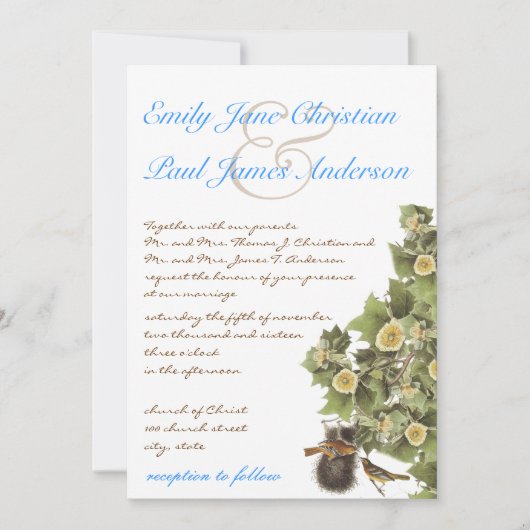 Tortelduifjes Nesting Aqua Blue Font Wedding Kaart (Voorkant)