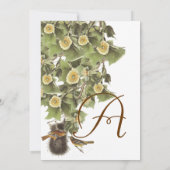 Tortelduifjes Nesting Aqua Blue Font Wedding Kaart (Achterkant)