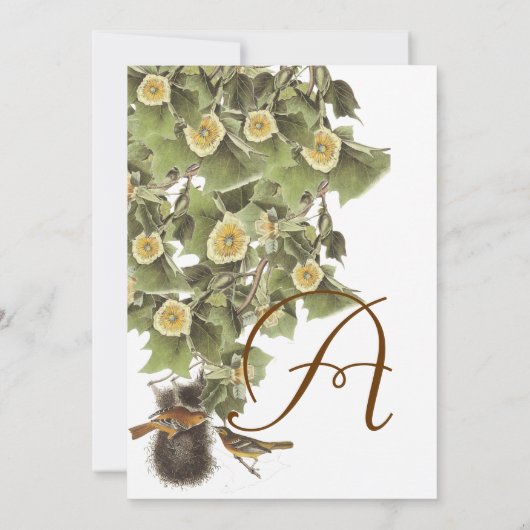 Tortelduifjes Nesting Aqua Blue Font Wedding Kaart (Achterkant)