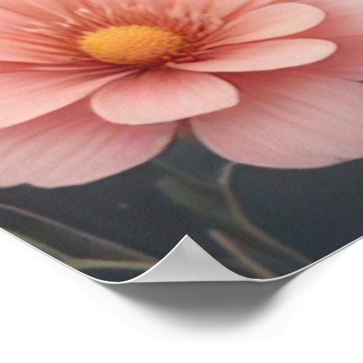 Tortelduifjes op een Branch Natuur Art Poster (Hoek)